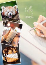 Load image into Gallery viewer, Monthly Dashboards - Vision Board Style