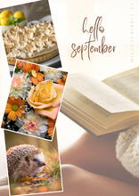 Load image into Gallery viewer, Monthly Dashboards - Vision Board Style